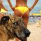 Barto, 44 years old, Sopot, Poland