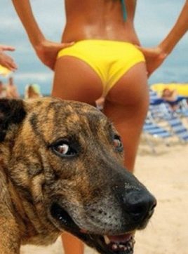 Barto, Sopot, Poland