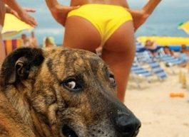 Barto, 44 years old, Man, Sopot, Poland