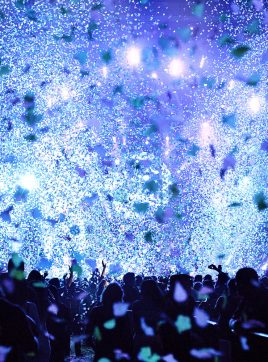 Vince, Nowy Targ, Poland