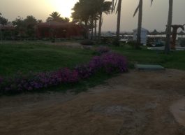 Michal, 37 years old, Man, Warsaw, Poland