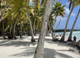 Maximus, 45 years old, Man, Poznan, Poland